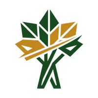 Dayton Tree Service